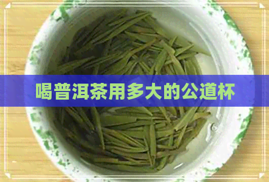 喝普洱茶用多大的公道杯