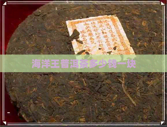 海洋王普洱茶多少钱一块