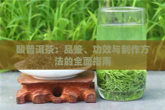 酸普洱茶：品鉴、功效与制作方法的全面指南