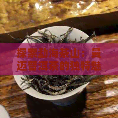 探索勐海茶山：曼迈普洱茶的独特魅力与口感