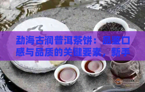 勐海古润普洱茶饼：品鉴口感与品质的关键要素，新手指南及老茶客心得分享