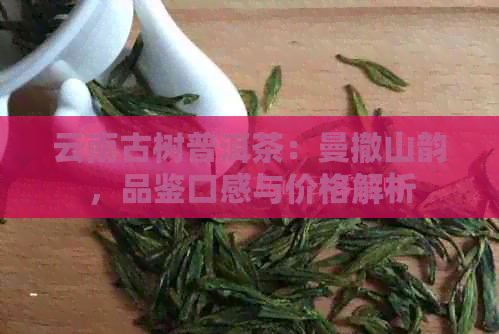 云南古树普洱茶：曼撤山韵，品鉴口感与价格解析