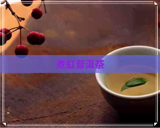 煮虹普洱茶