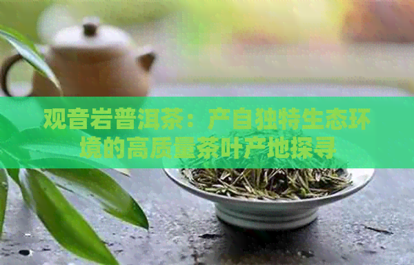 观音岩普洱茶：产自独特生态环境的高质量茶叶产地探寻