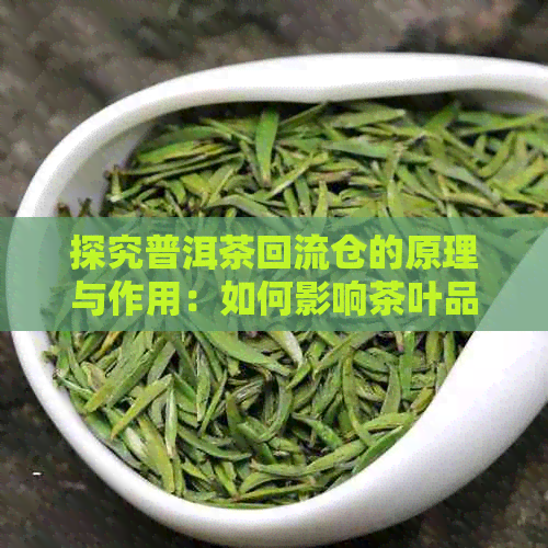 探究普洱茶回流仓的原理与作用：如何影响茶叶品质与口感？