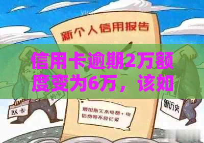 信用卡逾期2万额度变为6万，该如何解决？