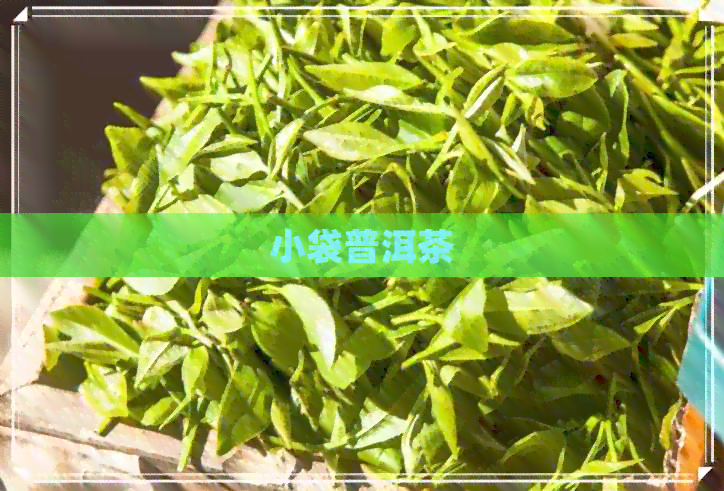 小袋普洱茶