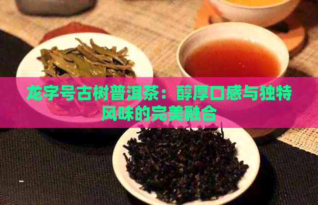 龙字号古树普洱茶：醇厚口感与独特风味的完美融合