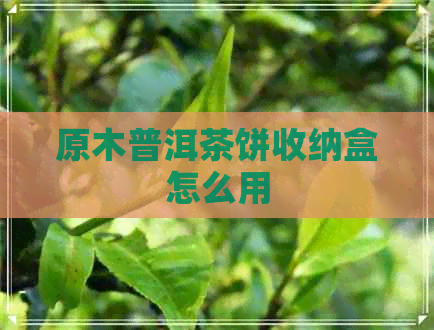 原木普洱茶饼收纳盒怎么用