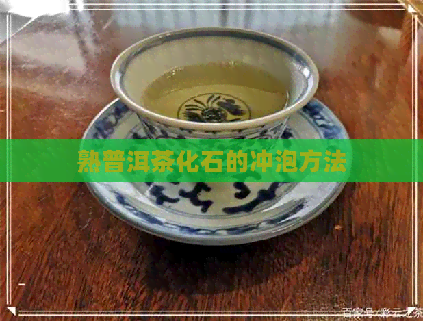 熟普洱茶化石的冲泡方法