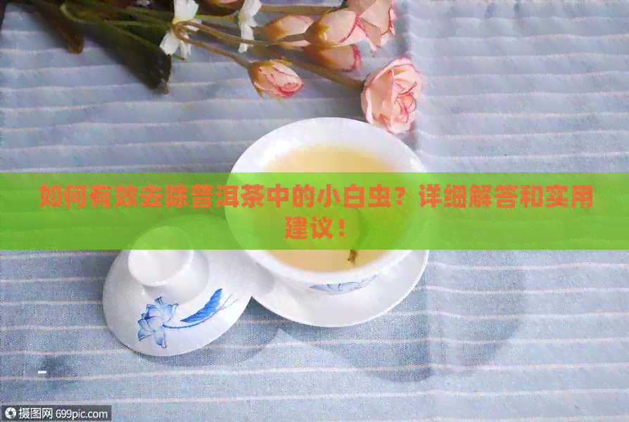 如何有效去除普洱茶中的小白虫？详细解答和实用建议！