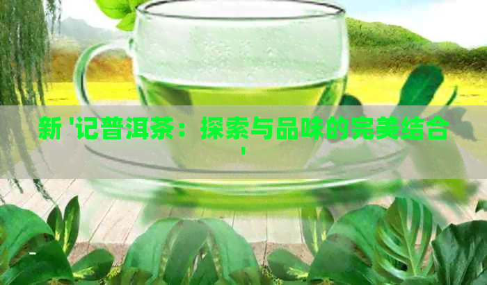 新 '记普洱茶：探索与品味的完美结合'