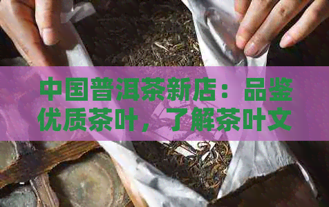 中国普洱茶新店：品鉴优质茶叶，了解茶叶文化与泡茶技巧的全方位指南