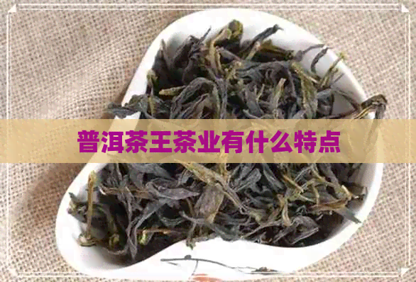 普洱茶王茶业有什么特点