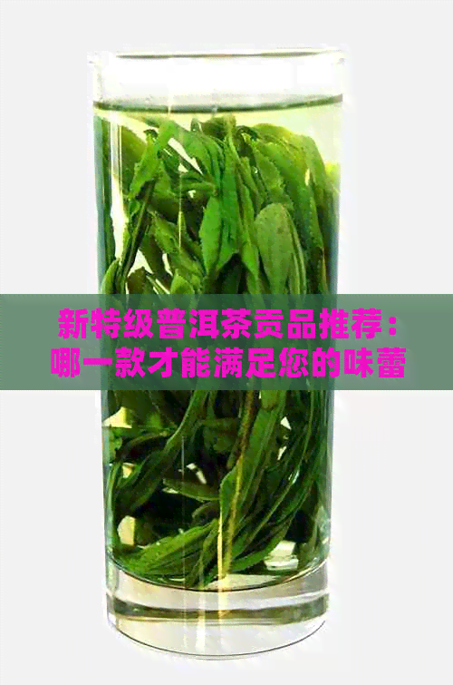 新特级普洱茶贡品推荐：哪一款才能满足您的味蕾体验？