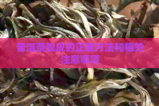 普洱茶脱皮的正确方法和相关注意事项