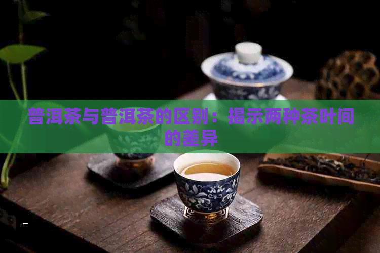 普洱茶与普洱茶的区别：揭示两种茶叶间的差异