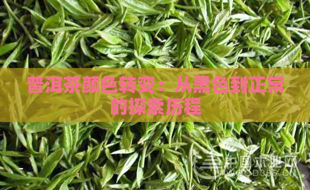 普洱茶颜色转变：从黑色到正常的探索历程