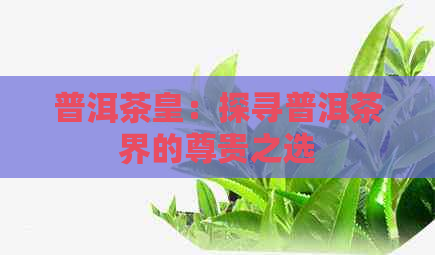 普洱茶皇：探寻普洱茶界的尊贵之选