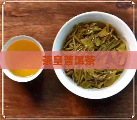 茶皇普洱茶