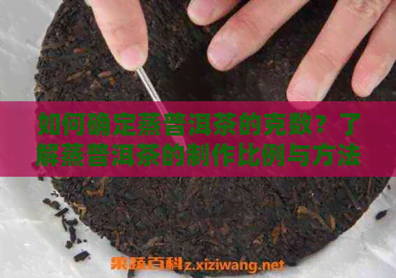 如何确定蒸普洱茶的克数？了解蒸普洱茶的制作比例与方法