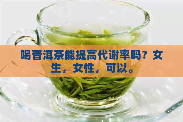 喝普洱茶能提高代谢率吗？女生，女性，可以。