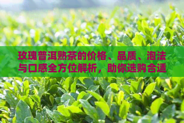 玫瑰普洱熟茶的价格、品质、泡法与口感全方位解析，助你选购合适的茶叶