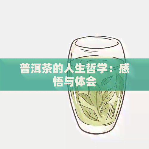 普洱茶的人生哲学：感悟与体会