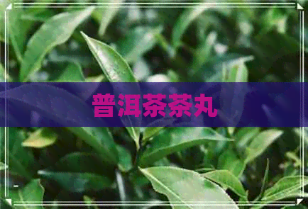 普洱茶茶丸