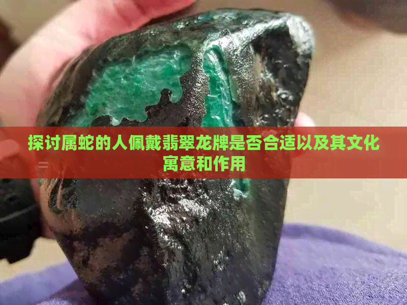 探讨属蛇的人佩戴翡翠龙牌是否合适以及其文化寓意和作用