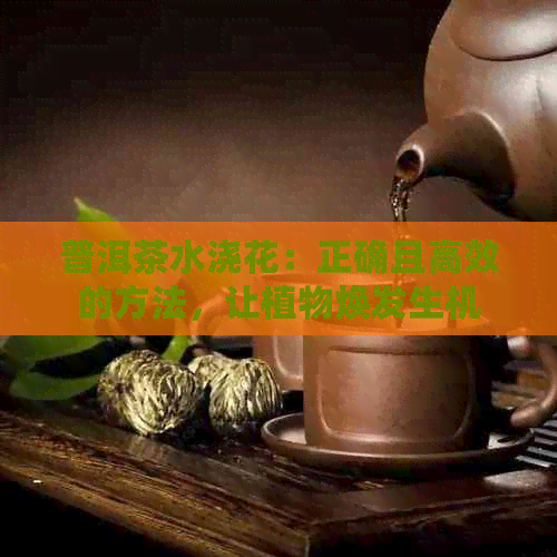 普洱茶水浇花：正确且高效的方法，让植物焕发生机