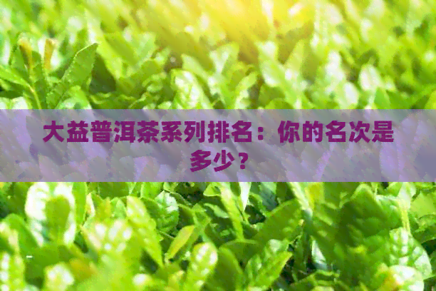 大益普洱茶系列排名：你的名次是多少？