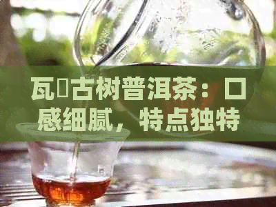 瓦篭古树普洱茶：口感细腻，特点独特解析