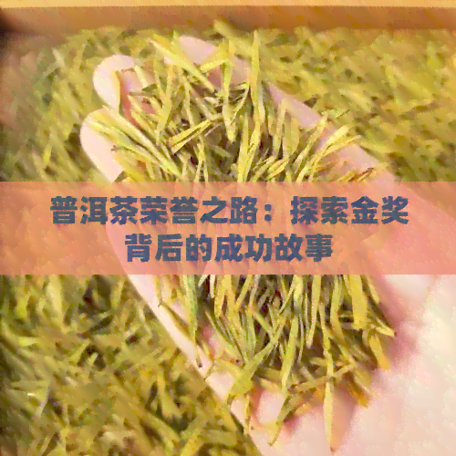 普洱茶荣誉之路：探索金奖背后的成功故事