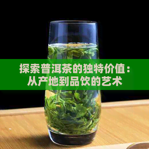 探索普洱茶的独特价值：从产地到品饮的艺术