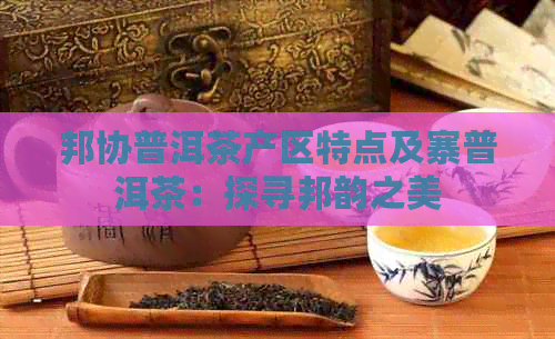 邦协普洱茶产区特点及寨普洱茶：探寻邦韵之美