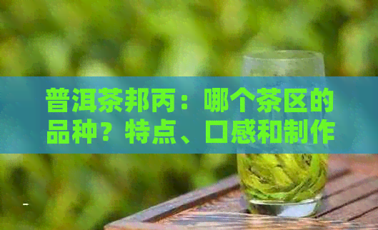 普洱茶邦丙：哪个茶区的品种？特点、口感和制作工艺详解