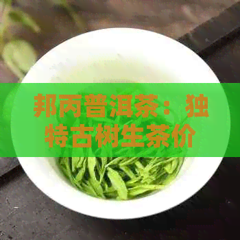 邦丙普洱茶：独特古树生茶价格指南，让你深度了解茶叶特点