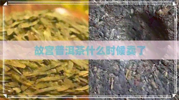 故宫普洱茶什么时候卖了