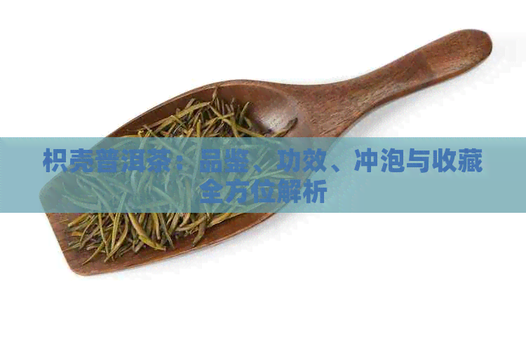 枳壳普洱茶：品鉴、功效、冲泡与收藏全方位解析