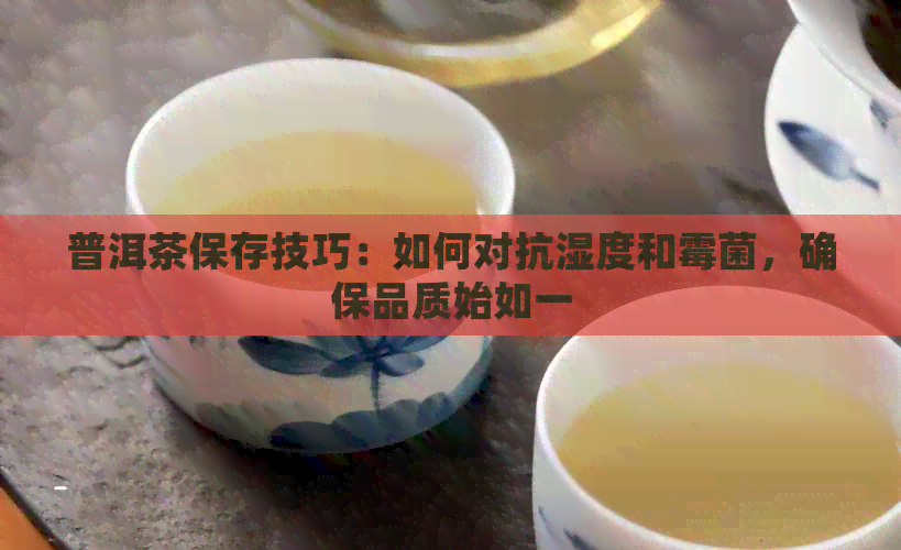 普洱茶保存技巧：如何对抗湿度和霉菌，确保品质始如一