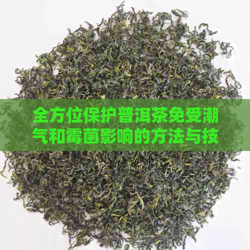 全方位保护普洱茶免受潮气和霉菌影响的方法与技巧