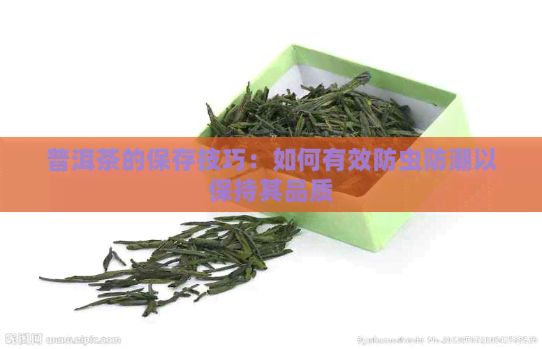 普洱茶的保存技巧：如何有效防虫防潮以保持其品质