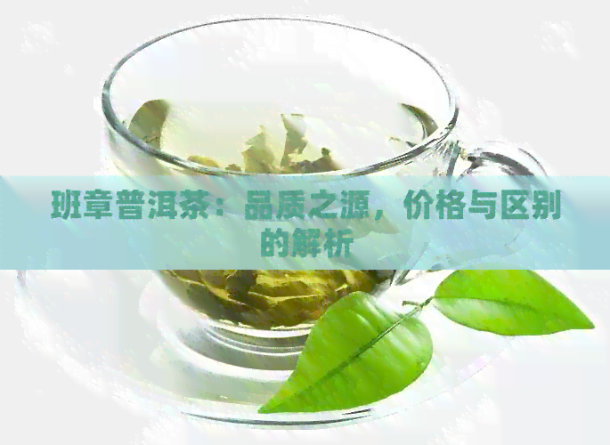 班章普洱茶：品质之源，价格与区别的解析