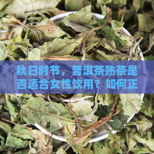 秋日时节，普洱茶熟茶是否适合女性饮用？如何正确选择与品饮？