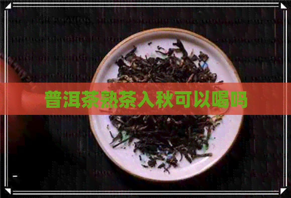 普洱茶熟茶入秋可以喝吗