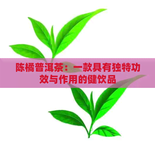 陈橘普洱茶：一款具有独特功效与作用的健饮品