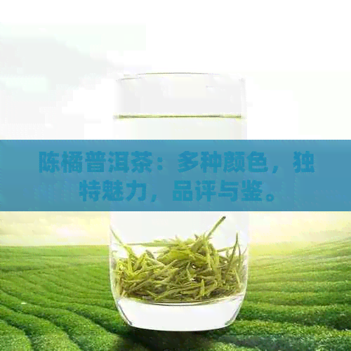 陈橘普洱茶：多种颜色，独特魅力，品评与鉴。