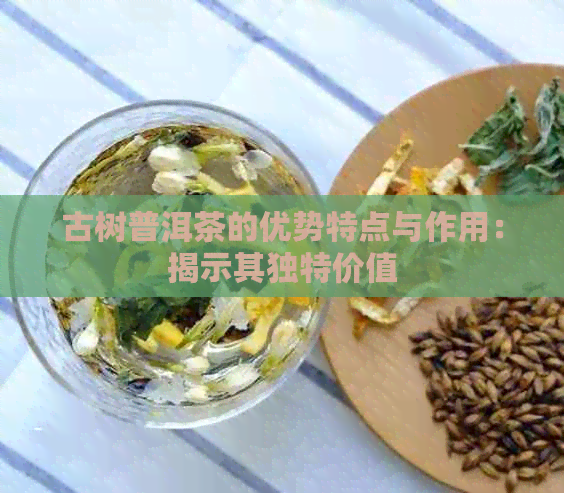 古树普洱茶的优势特点与作用：揭示其独特价值