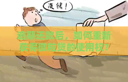 逾期还款后，如何重新获得微粒贷的使用权？